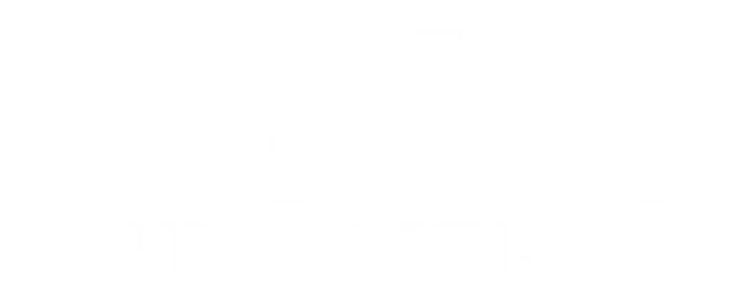 auraNexus.ai Logo white